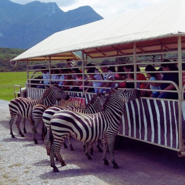 From Querétaro Bioparque Estrella - Sea Lion Show and Pedal Boats