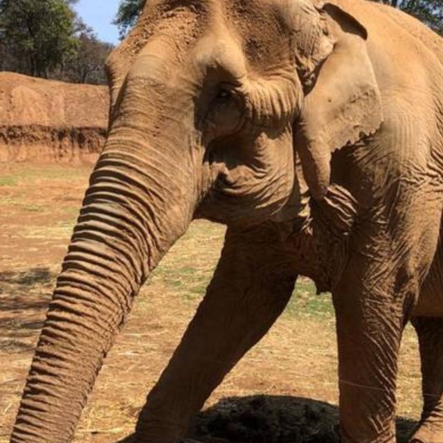 From Querétaro Bioparque Estrella - Crossing the Suspension Bridge