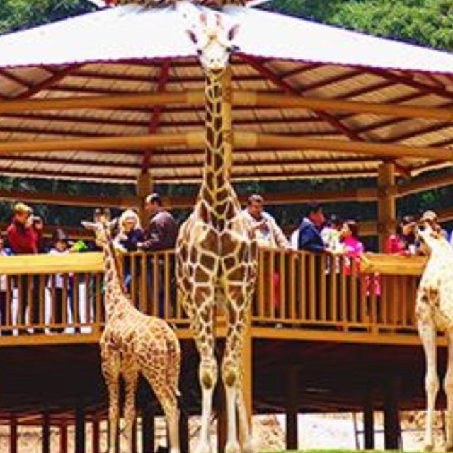 From Querétaro Bioparque Estrella - Ziplining and the Underground Mine