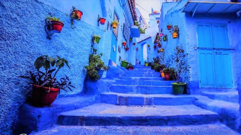 From Rabat: Highlights Day Trip To Chefchaouen - Satisfied Customers Perspectives
