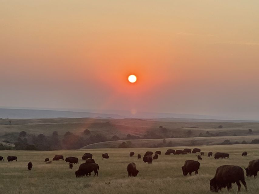 From Rapid City: Badlands National Park Trip With Wall Drug - Encountering Wildlife