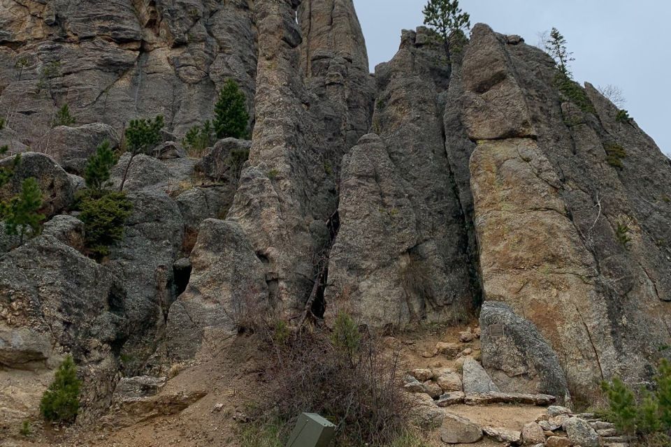 From Rapid City: Custer State Park Private Safari and Hiking - Safari Experience Details