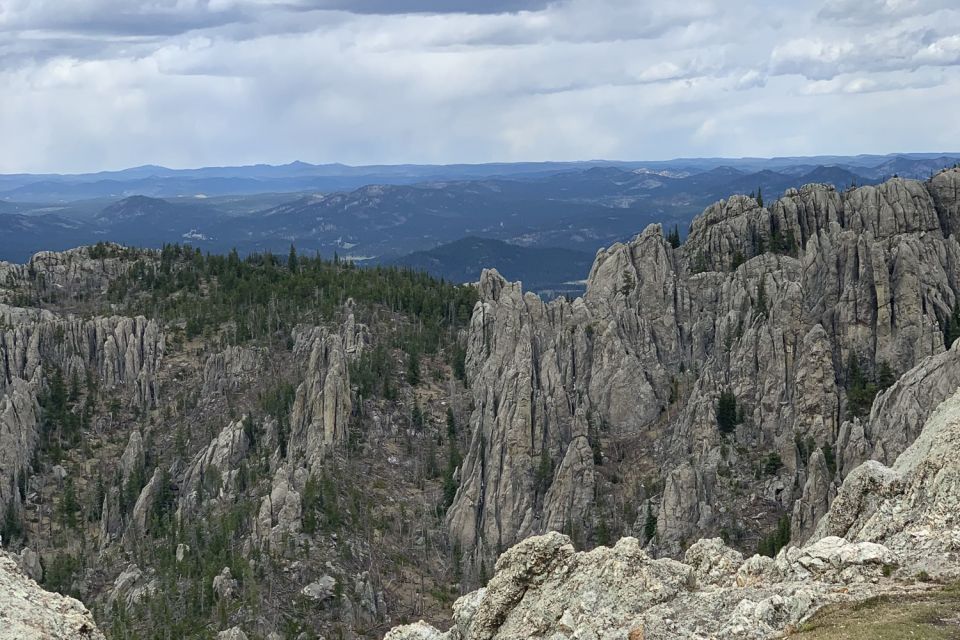 From Rapid City: Custer State Park Private Safari and Hiking - Activity Options and Lunch