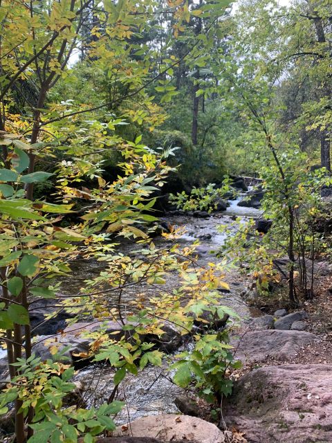 From Rapid City: Private Spearfish Canyon Tour - Experience