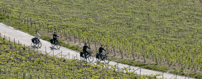 From Reims: Champagne Afternoon E-Bike Tour - Itinerary Details
