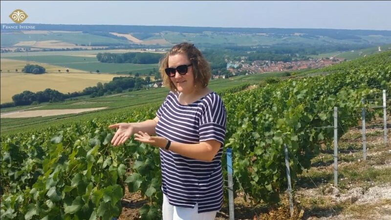 From Reims: Champagne Day Trip to Two Local Domains & Lunch - Transportation Details