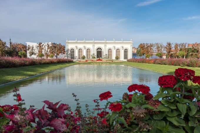 From Reims/Epernay: Private Gold Champagne Tasting Tour - Tips for Your Tour