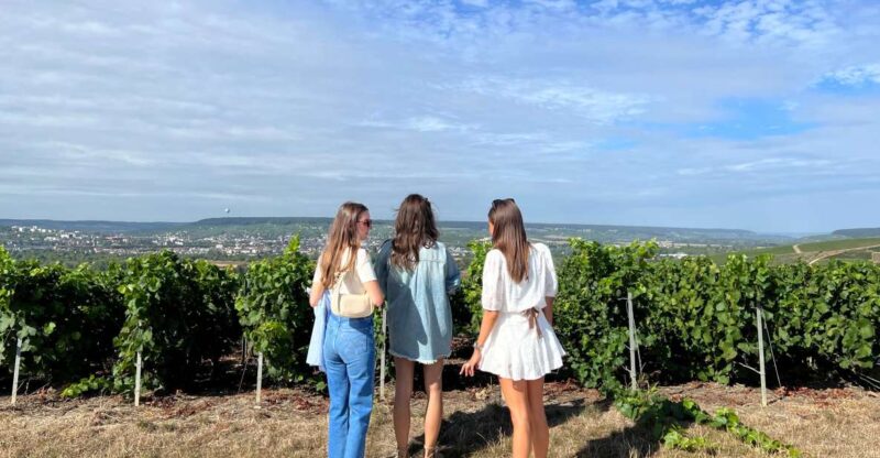 From Reims/Epernay: the Connoisseurs Private Tour 9 Tastings - Pickup and Drop-off