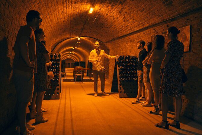 From Reims morning Champagne family growers - Who Will Love This Tour?