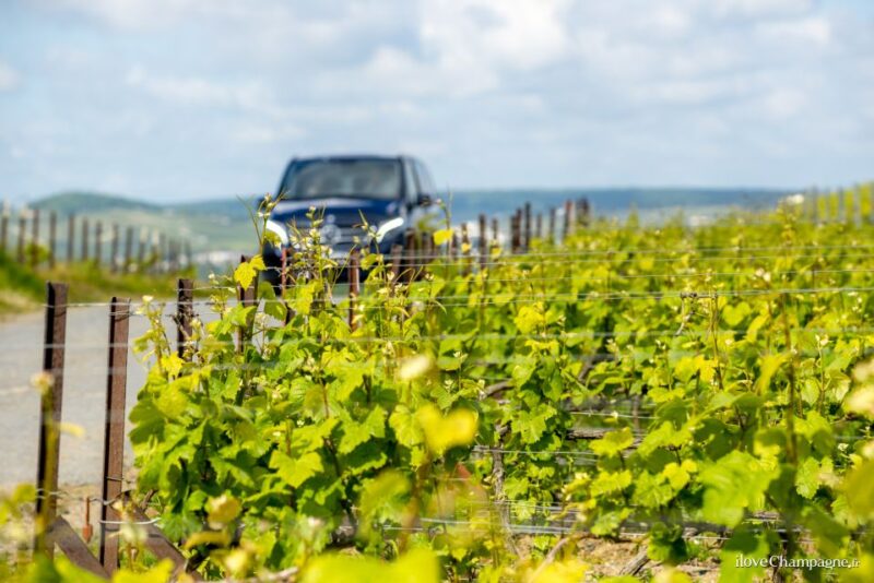 From Reims: Morning Champagne Tour and Tastings - Itinerary Highlights