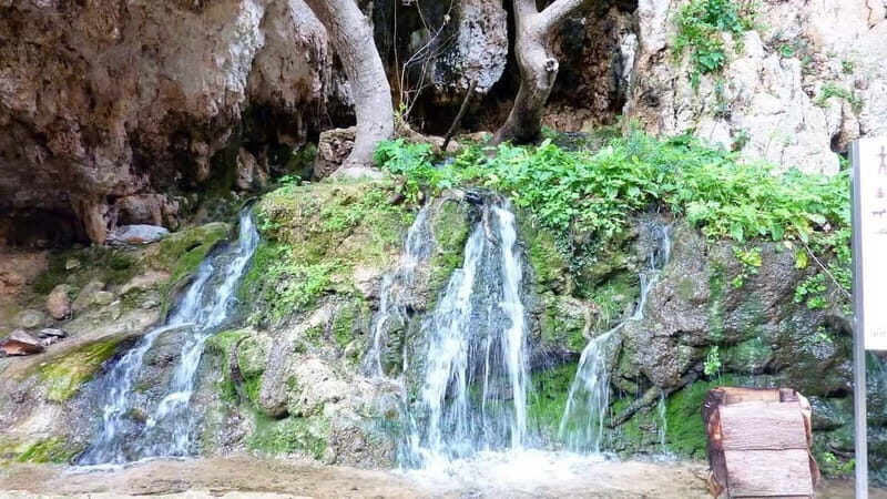 From Rethymno: Cretan Stories - Authentic Experiences That Matter