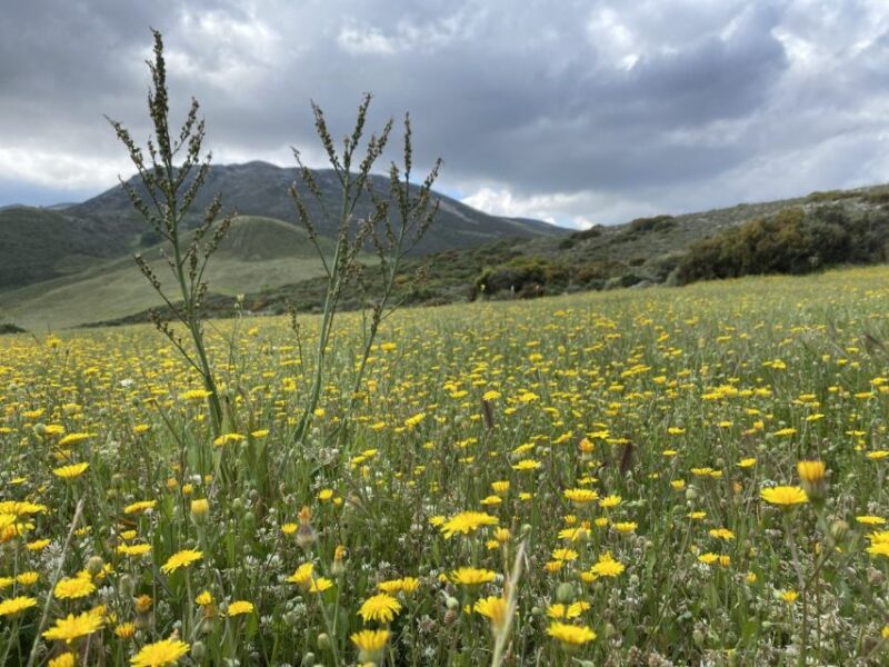 From Rethymno: Eleven Gates Hike on The Shepherds Path - Hiking Experience and Stages