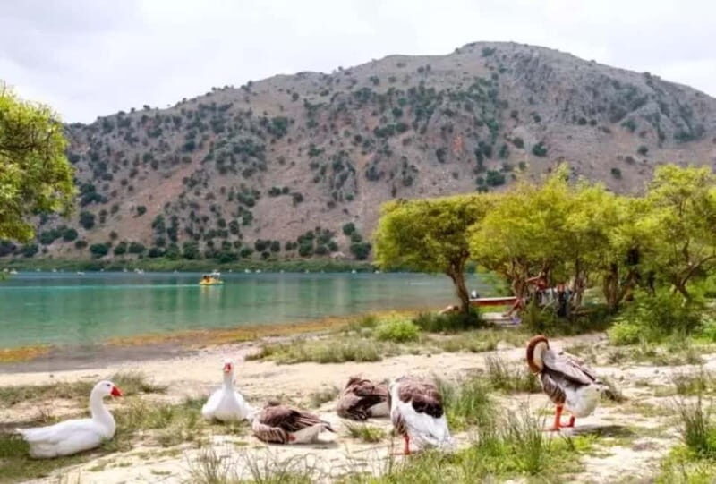 From Rethymno: Souda Bay Boat Tour with Lake Kournas Stop - An In-Depth Look at the Tour Experience