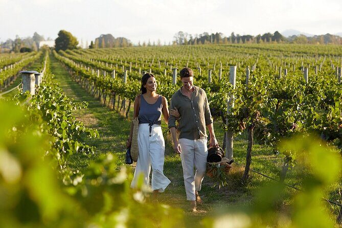 From Rethymno Visit of Knossos & Winery with tastings & Lunch - Exploring the Village of Archanes