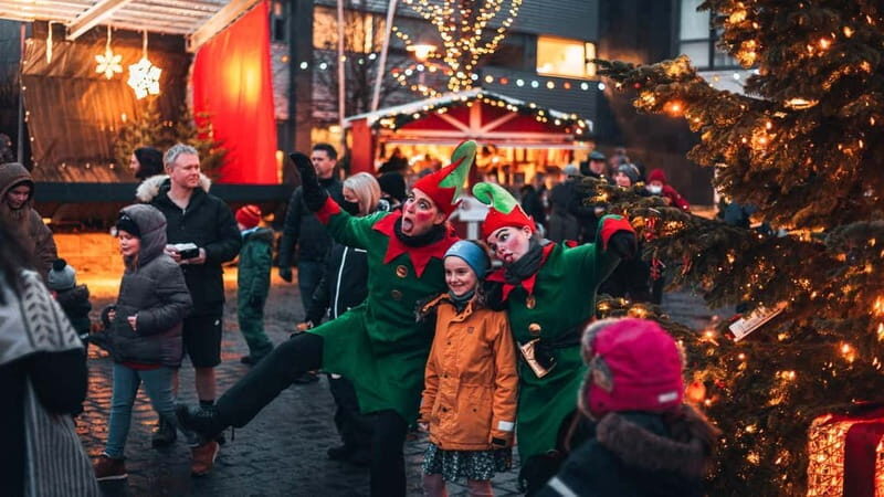 From Reykjavík: Christmas Market and Yule Lads Driving Tour - Final Thoughts