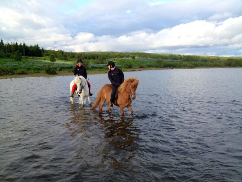 From Reykjavik: Evening Horseback Tour With Transfer - Inclusions