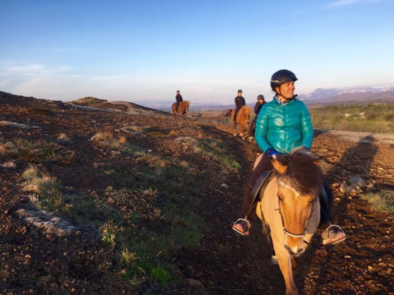 From Reykjavik: Evening Horseback Tour With Transfer - What to Expect