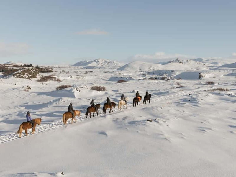 From Reykjavík: Icelandic Horse Riding Tour in Lava Fields - Key Points