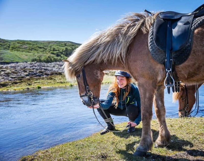 From Reykjavík: Icelandic Horse Riding Tour in Lava Fields - Discovering the Experience