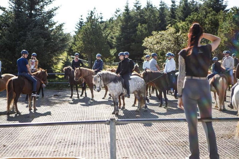 From Reykjavík: Icelandic Horse Riding Tour in Lava Fields - Facilities and Comfort