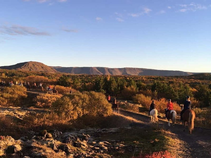 From Reykjavík: Icelandic Horse Riding Tour in Lava Fields - Who Should Consider This Tour?