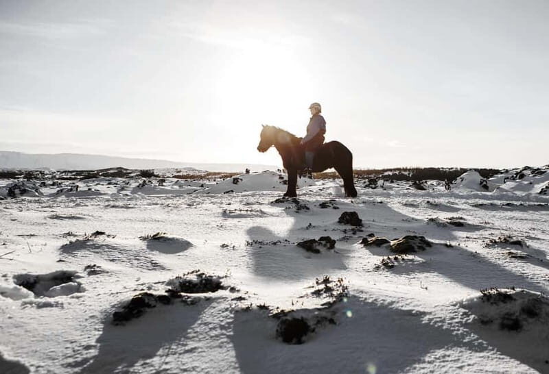 From Reykjavík: Icelandic Horse Riding Tour in Lava Fields - Final Thoughts