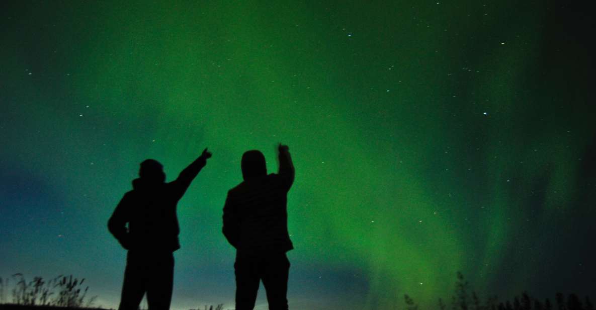 From Reykjavík: Northern Lights Tour with Hot Cocoa & Photos - Introduction