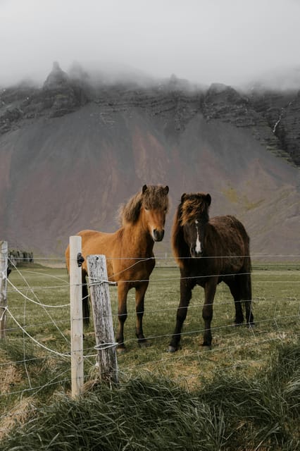From Reykjavik: Private Golden Circle and South Coast Tour - Informed Expectations