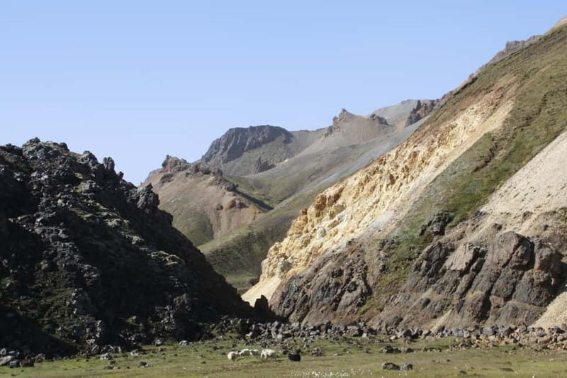 From Reykjavik: Private Landmannalaugar Day Trip - Why Choose This Tour?