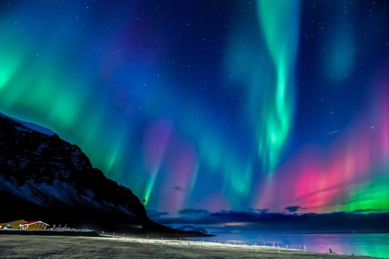 From Reykjavik: Private Northern Lights Tour - Key Points