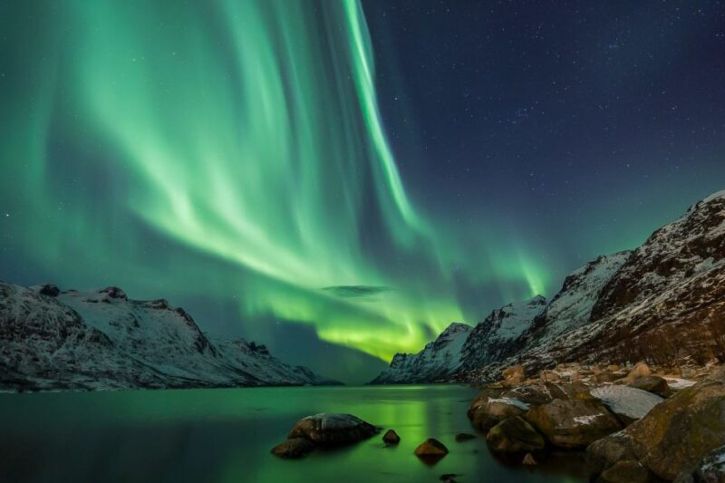 From Reykjavik: Private Northern Lights Tour - Who Should Book This?