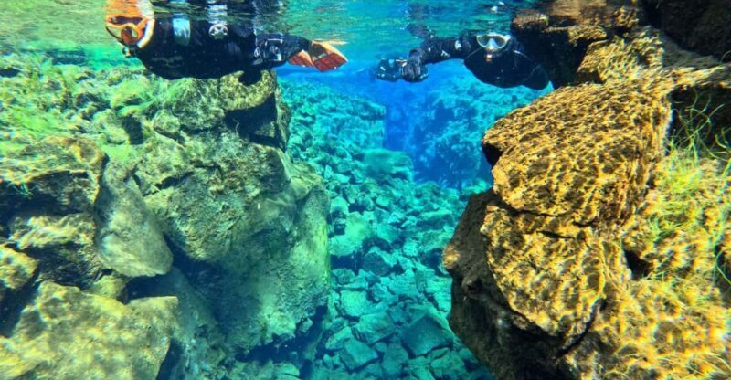From Reykjavík: Silfra Snorkeling with free photos - The Sum Up: Who Should Consider This Tour?