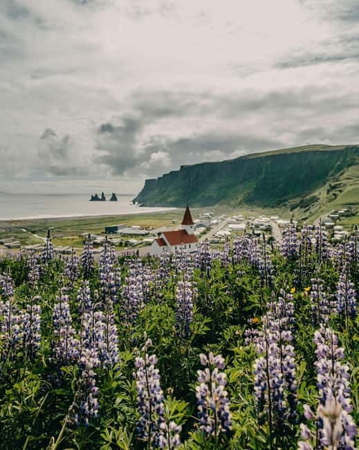 From Reykjavík: South Coast Highlights Day Tour - Authentic Experiences and Small Details