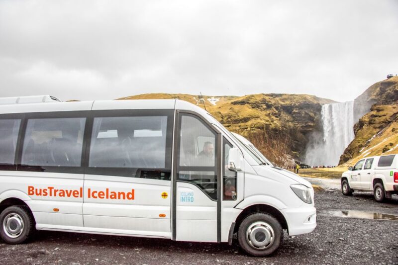 From Reykjavík: South Coast Waterfall, Black Sand & Ice Tour - Guest Experience and Reviews