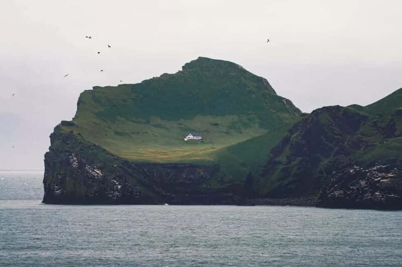 From Reykjavik: Vestmannaeyjar Islands Day Trip - An Insightful Overview of the Vestmannaeyjar Day Trip