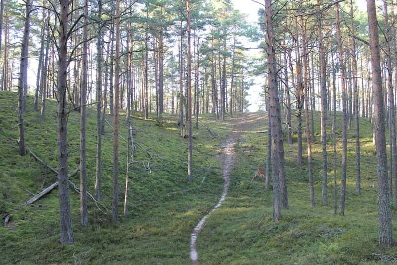 From Riga: Budget Day Trip to Kolka in Zen style! - FAQs
