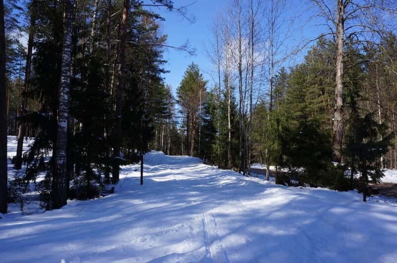 From Riga: Cross-country skiing and beating heart memorial - The Beating Heart Memorial — A Sobering Reflection