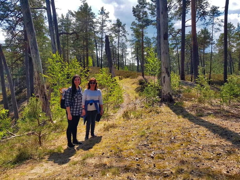From Riga: Four Natural Ecosystems In One Hike - What to Pack and What to Expect