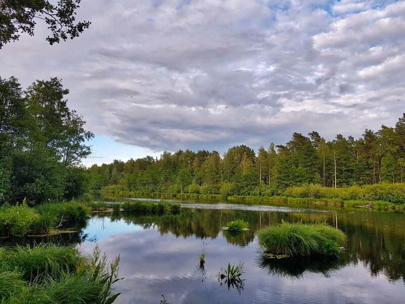 From Riga: Four Natural Ecosystems In One Hike - Authentic Experiences and Honest Feedback