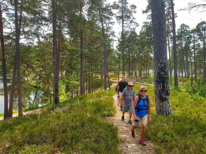 From Riga: Four Natural Ecosystems In One Hike - Practical Tips for Travelers
