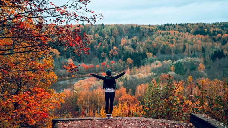 From Riga: Group Tour to Sigulda and Turaida - The Guides and Group Experience
