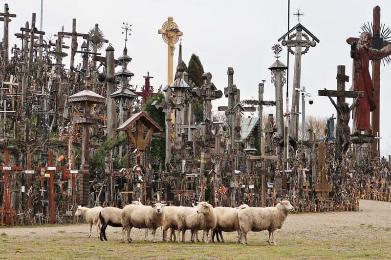 From Riga: Hill of Crosses and Jelgava Gems Tour - Key Points