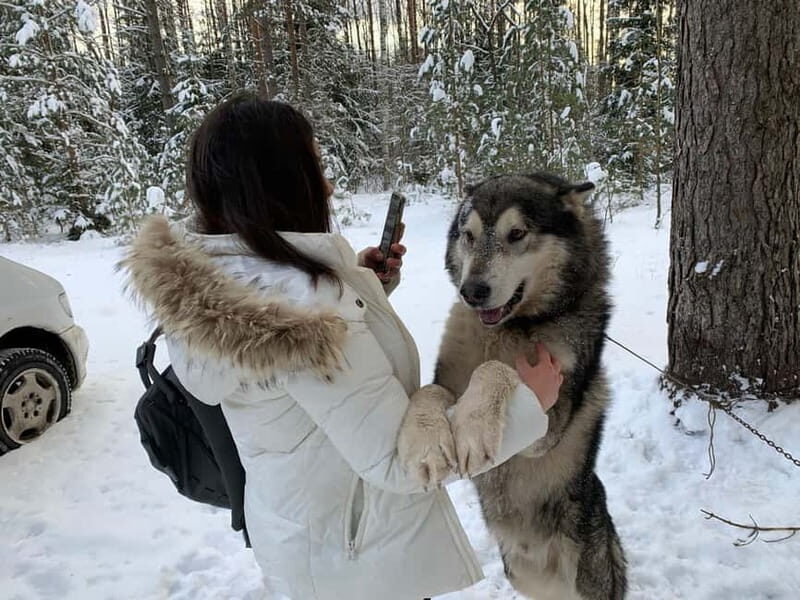 From Riga: Husky Sledding or Wheel Kart Tour - What Is This Tour About?