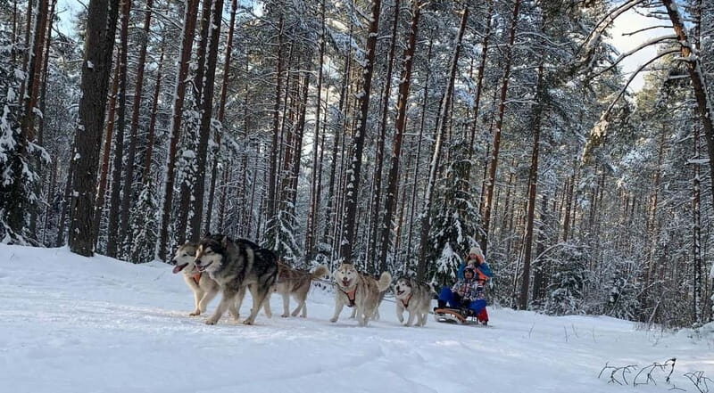 From Riga: Husky Sledding or Wheel Kart Tour - Price & Value