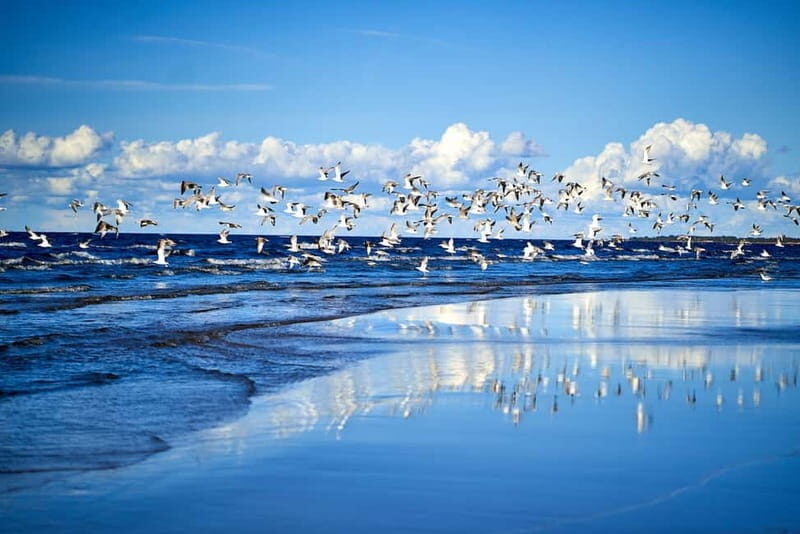 From Riga: Jurmala and Great Kemeri Private Full-Day Trip - FAQ