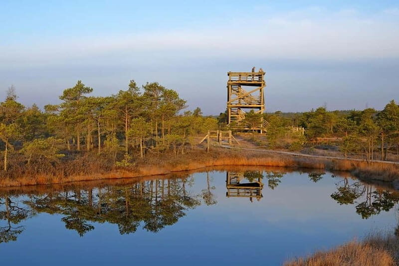 From Riga: Kemeri National Park and Kuldiga Tour - An In-Depth Look at the Kemeri National Park and Kuldiga Tour