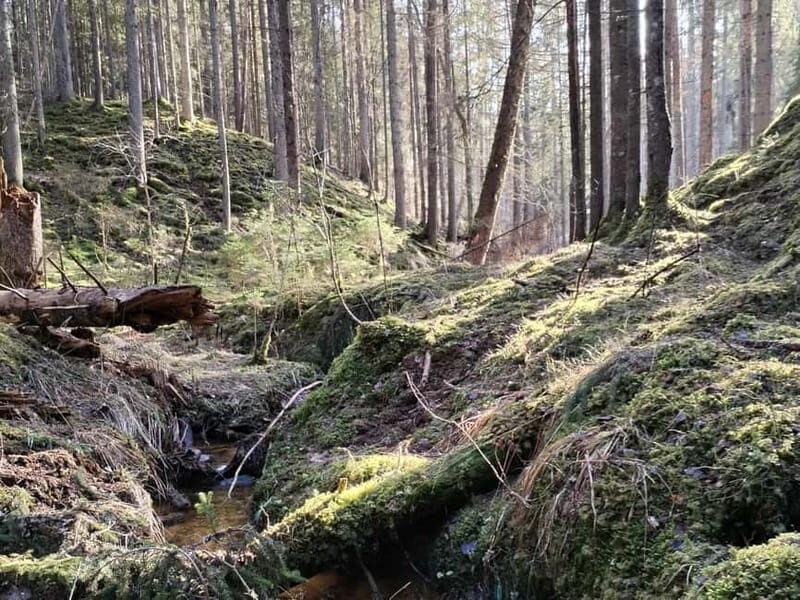 From Riga: Ligatne Village and Gauja River National Park - Who Should Consider This Tour?