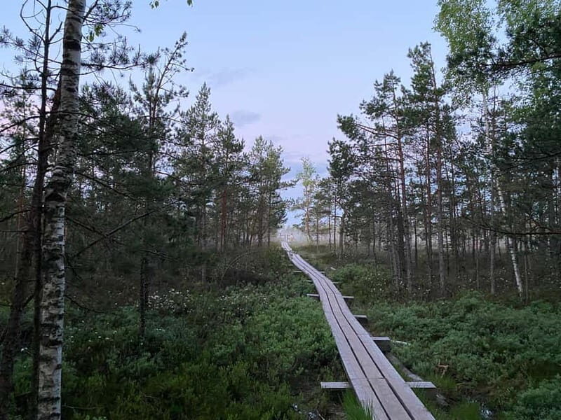 From Riga: Trip to Kemeri National Park & Jurmala - The Itinerary: What You Can Expect