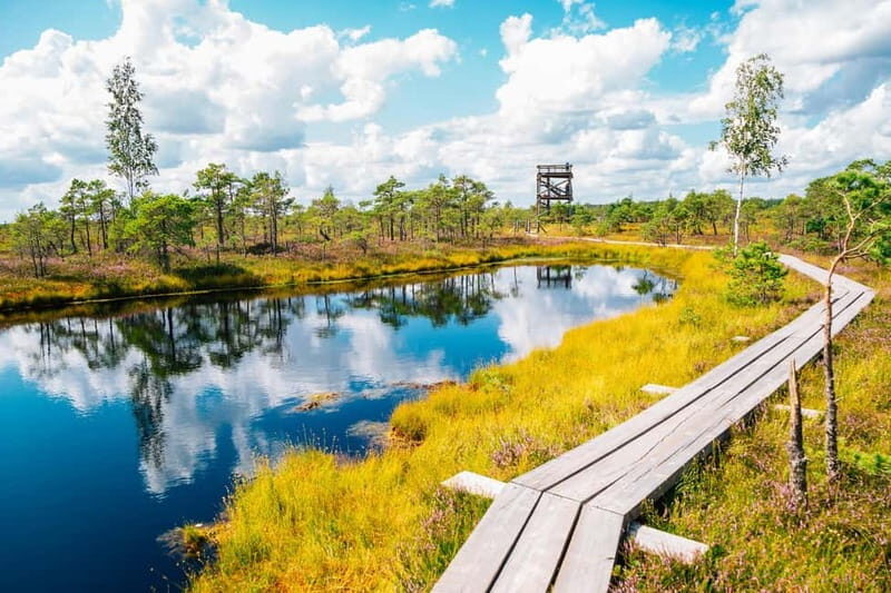 From Riga: Trip to Kemeri National Park & Jurmala - Practical Details
