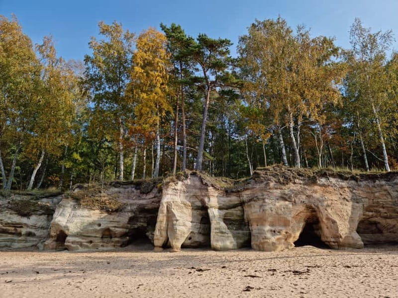 From Riga: Vidzeme Coast Half-Day Trip with Lunch - An In-Depth Look at the Vidzeme Coast Half-Day Trip